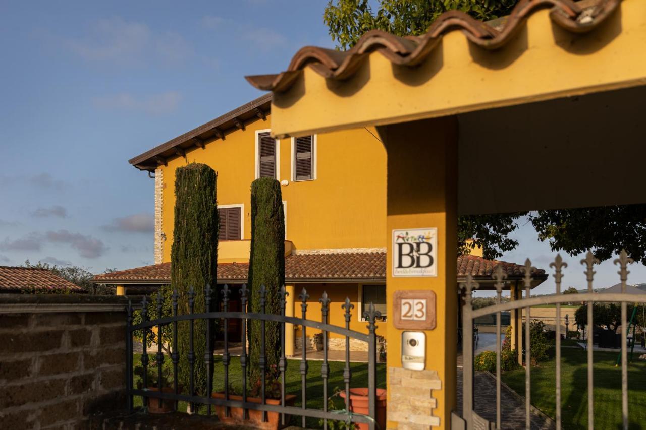 B&B La Canfora Atri Extérieur photo